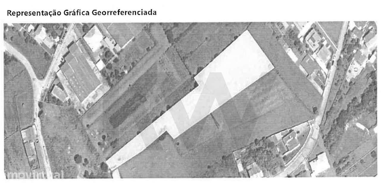 Terreno com 3600 m2 com poço - Grande imagem: 5/6