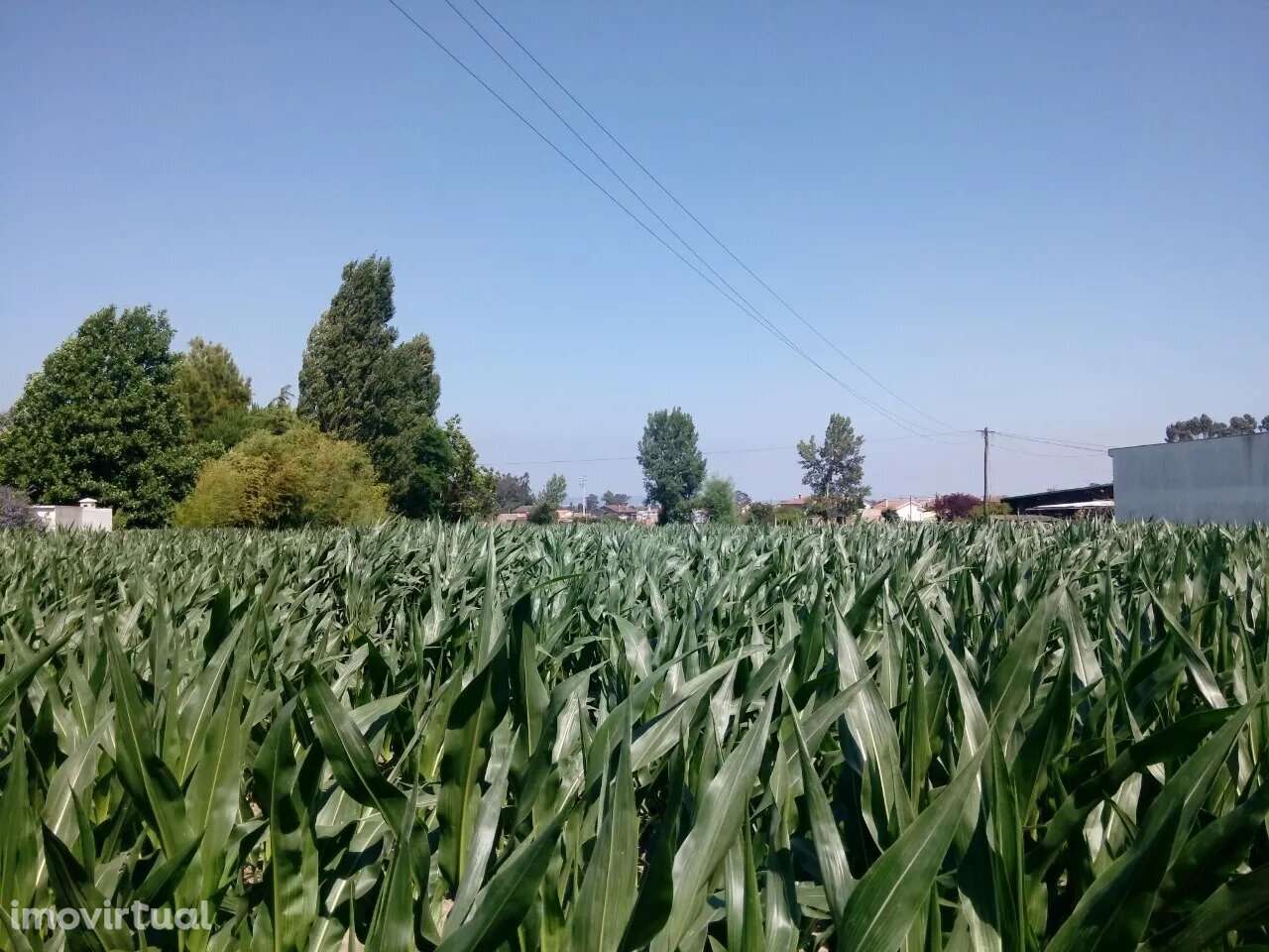 Terreno com viabilidade construtiva em Estarreja - Grande imagem: 4/7