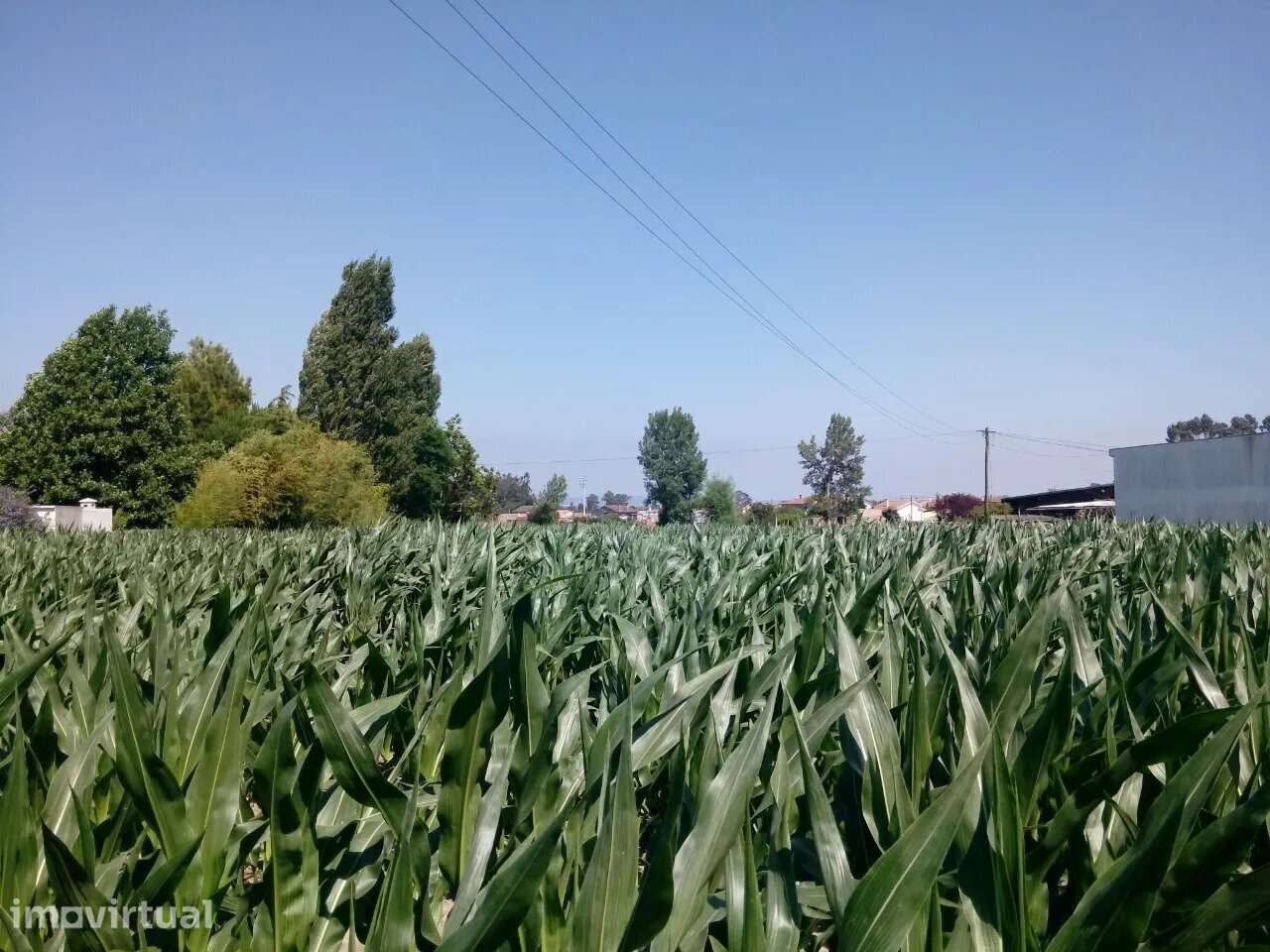 Terreno com viabilidade construtiva em Estarreja - Grande imagem: 4/7