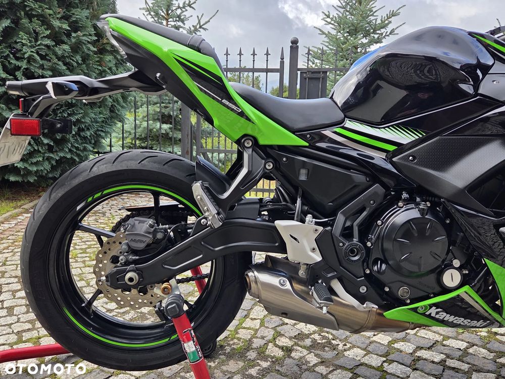 Kawasaki Ninja - 10