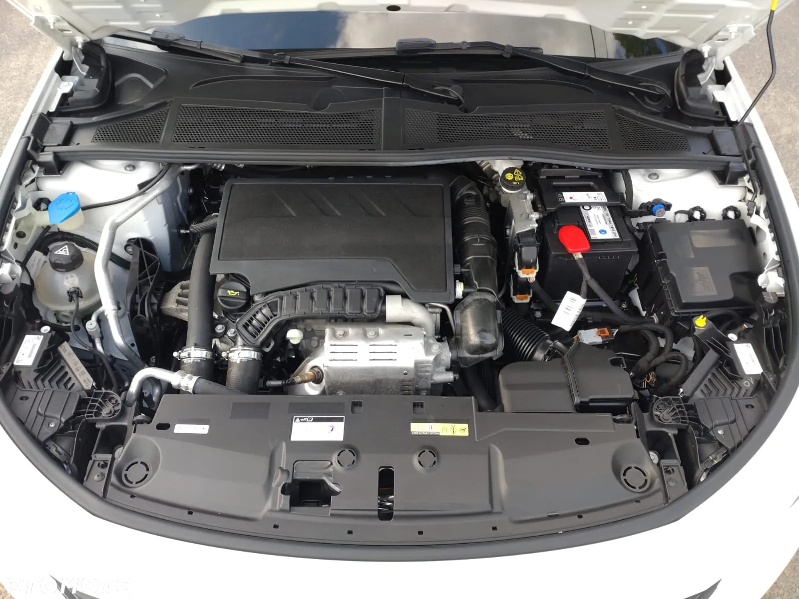 Peugeot 308 1.2 PureTech GPF Allure Pack S&S - 25