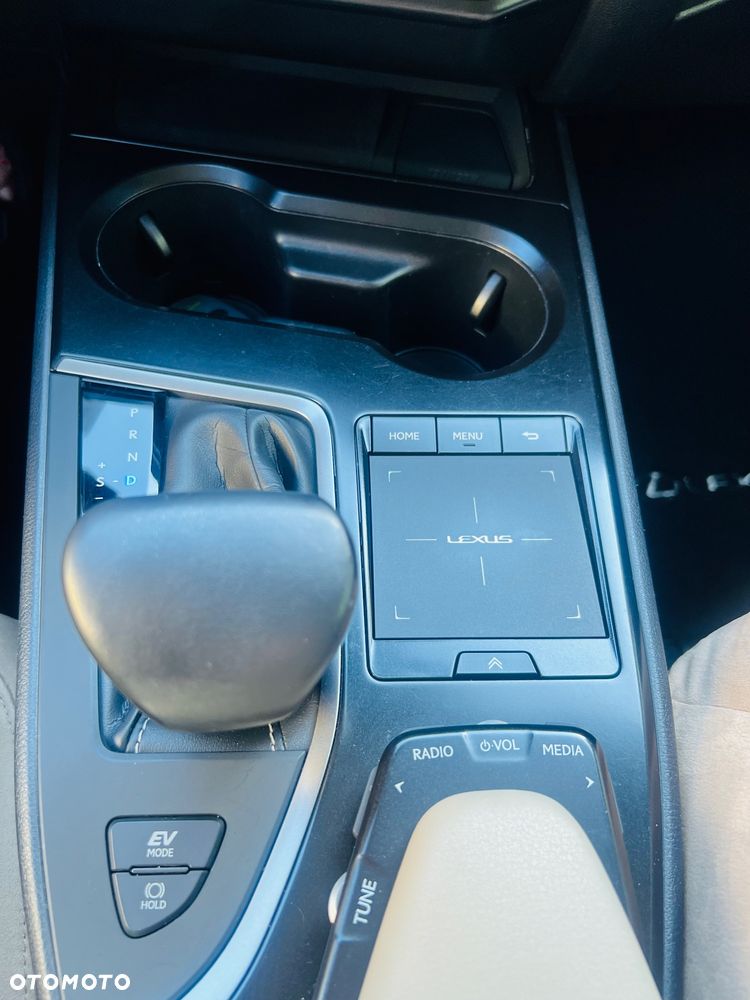 Lexus UX 250h GPF Business Edition 2WD - 10