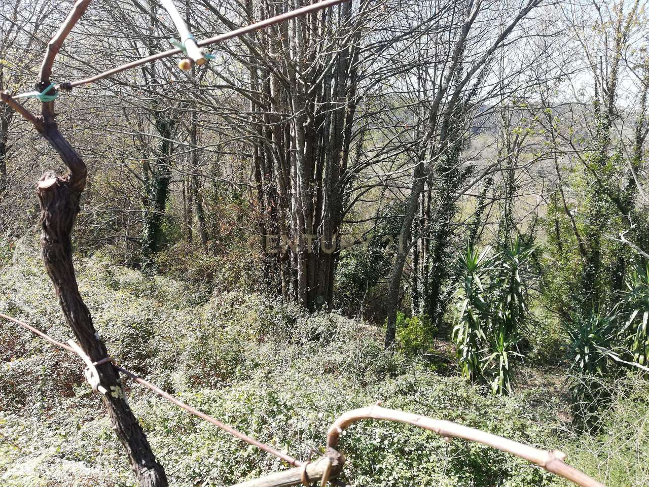 Terreno para construção em Valença (S. Julião) - Grande imagem: 2/10