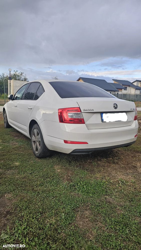 Skoda Octavia - 5