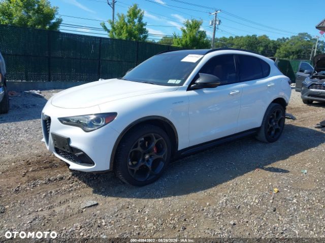 Alfa Romeo Stelvio 2.0 Turbo 16V AT8-Q4 Veloce - 3