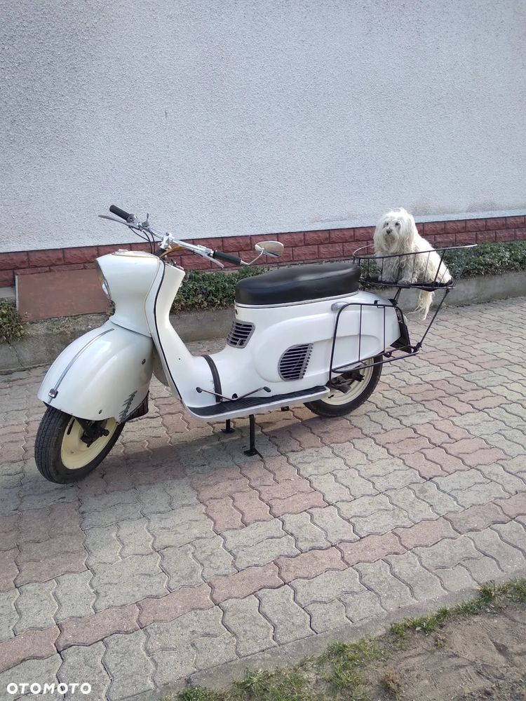 WFM Osa - 4