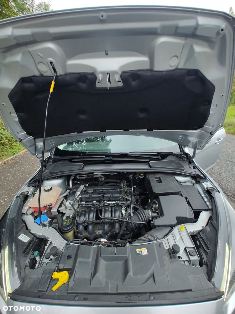 Ford Focus - 26