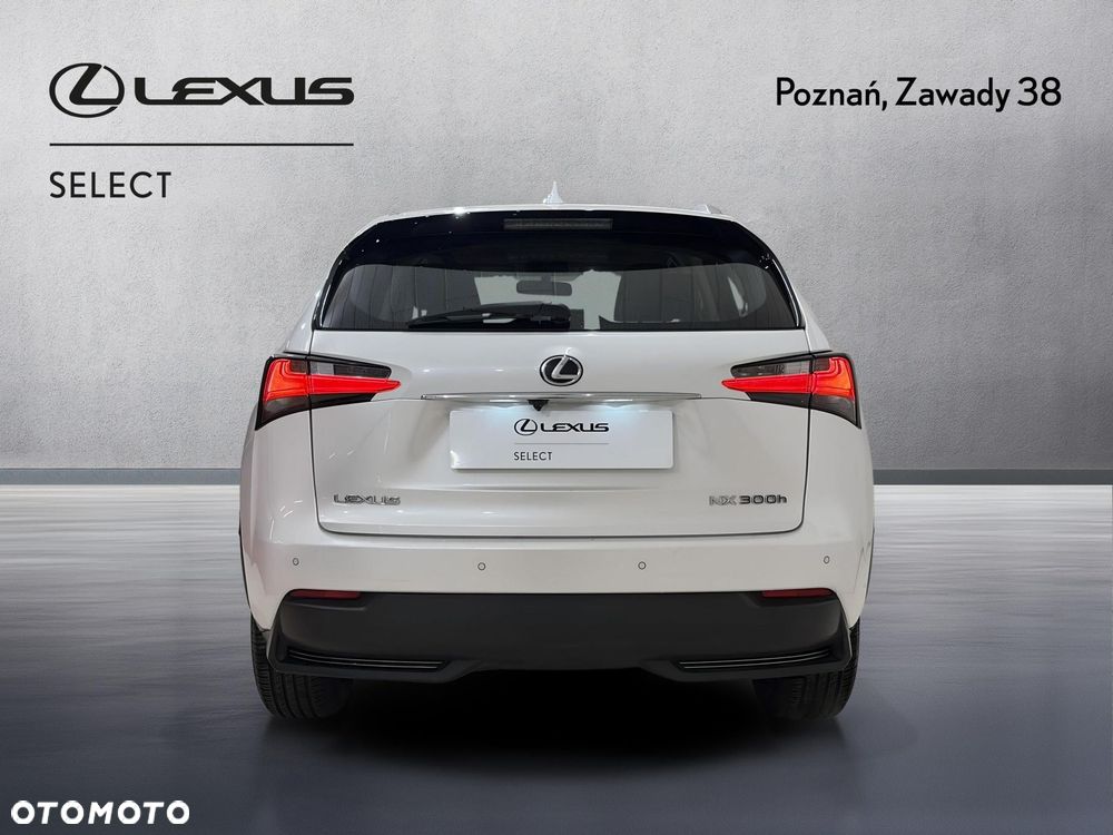 Lexus NX 300h Elite AWD - 7