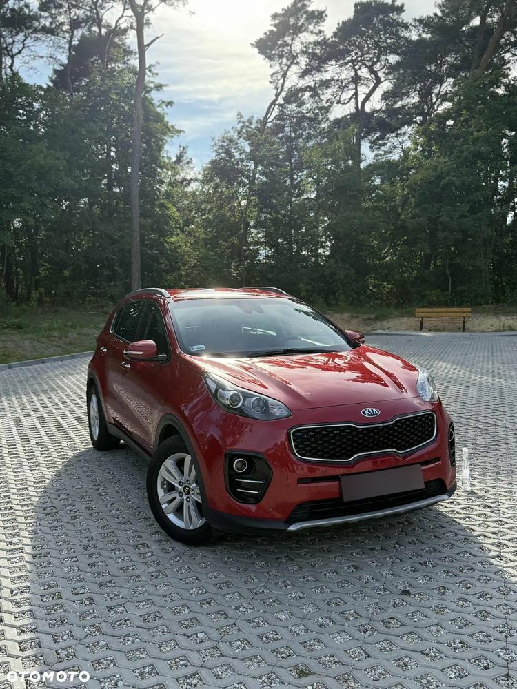 Kia Sportage 1.6 T-GDI Business Line 4WD DCT - 1