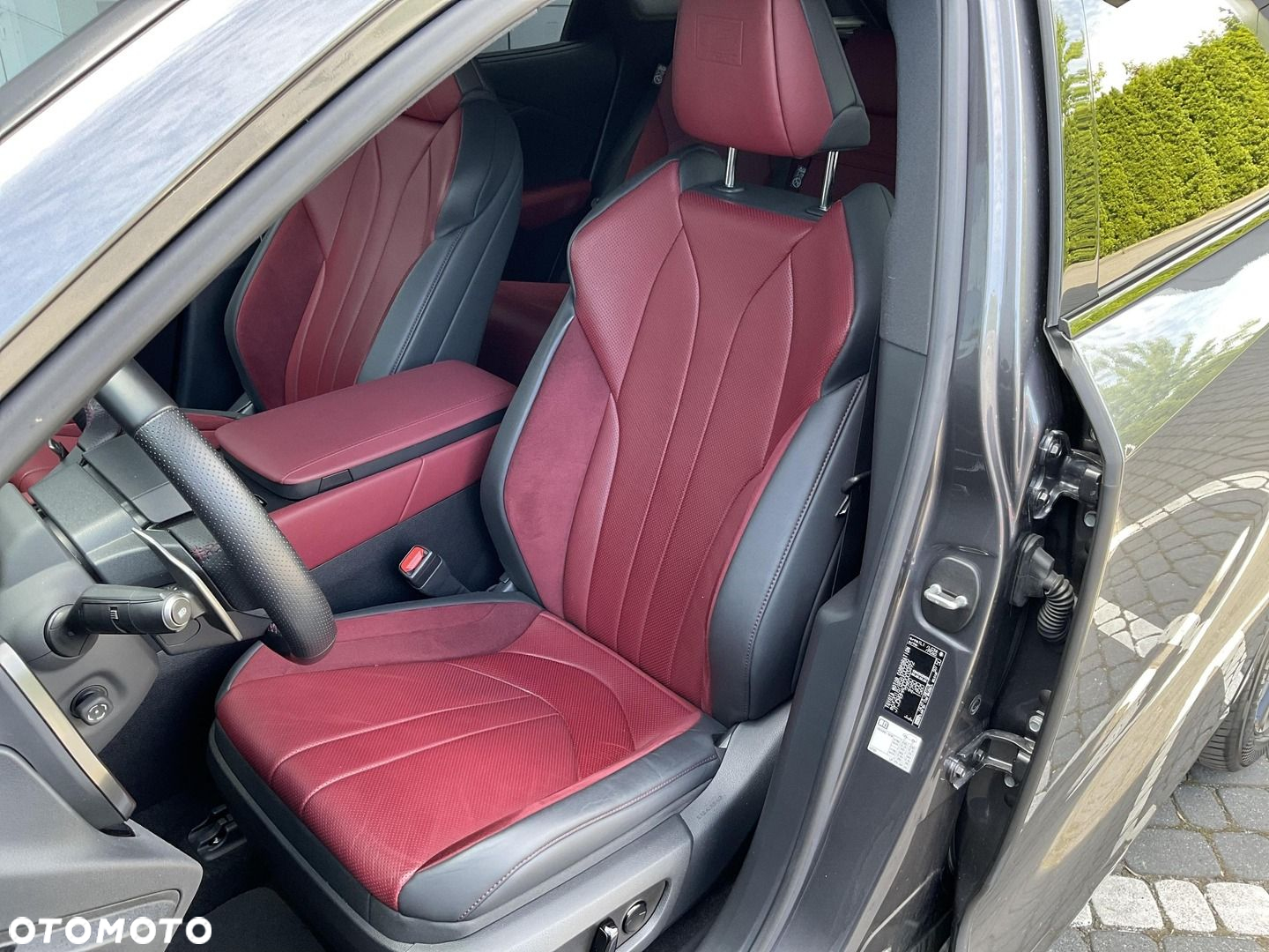 Lexus RX - 17