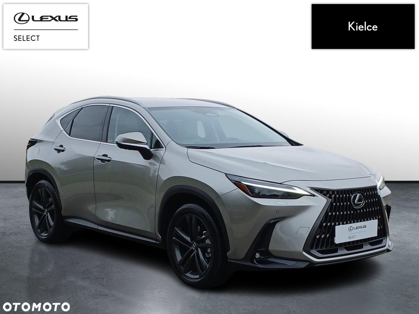 Lexus NX 350h Prestige AWD - 7