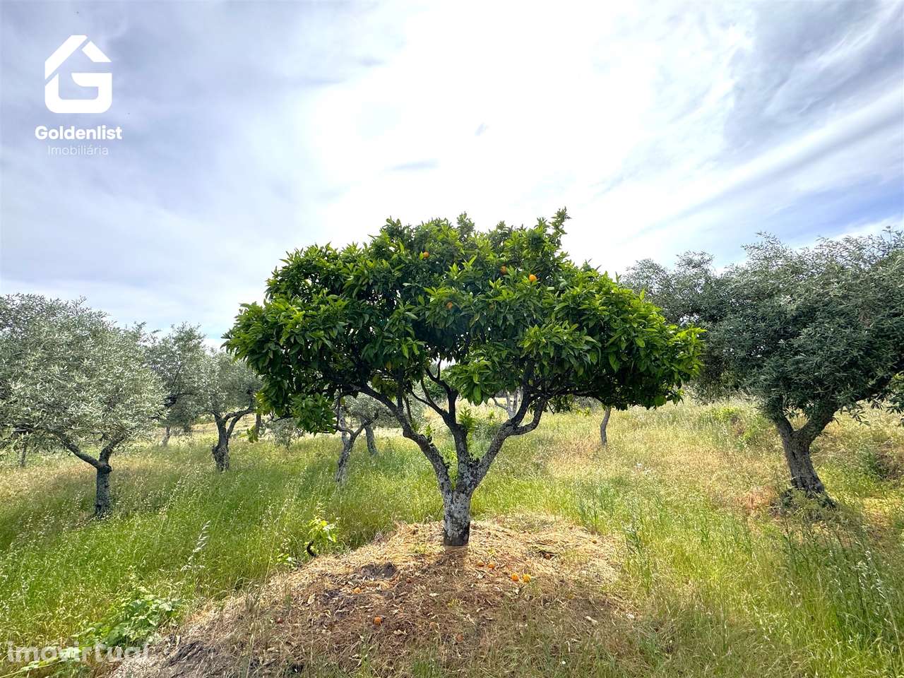 Quintinha T0 Venda em Vale de Prazeres e Mata da Rainha,Fundão - Grande imagem: 4/32