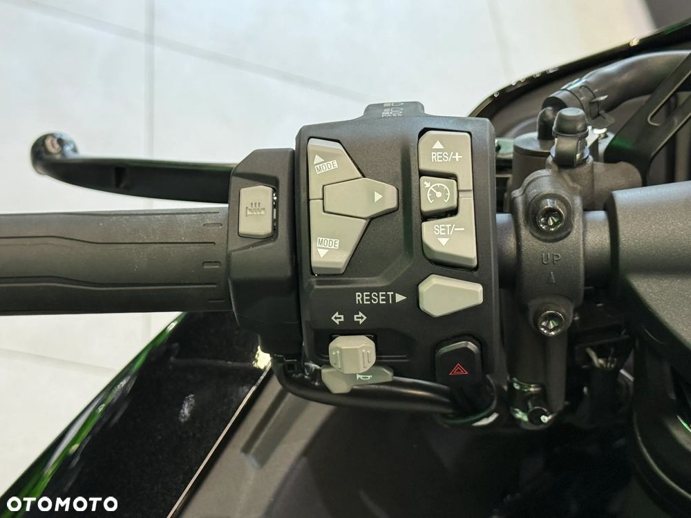 Kawasaki Ninja H2 SX - 18