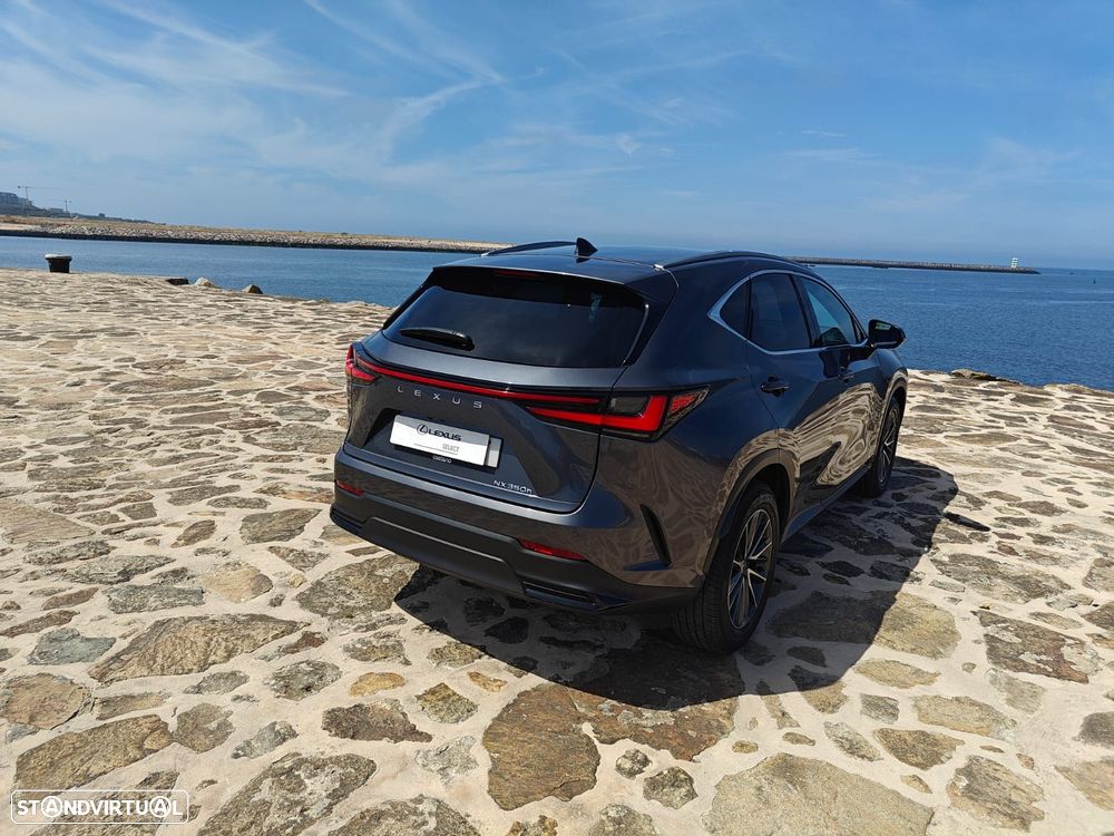 Lexus NX 350h Executive Plus - 12