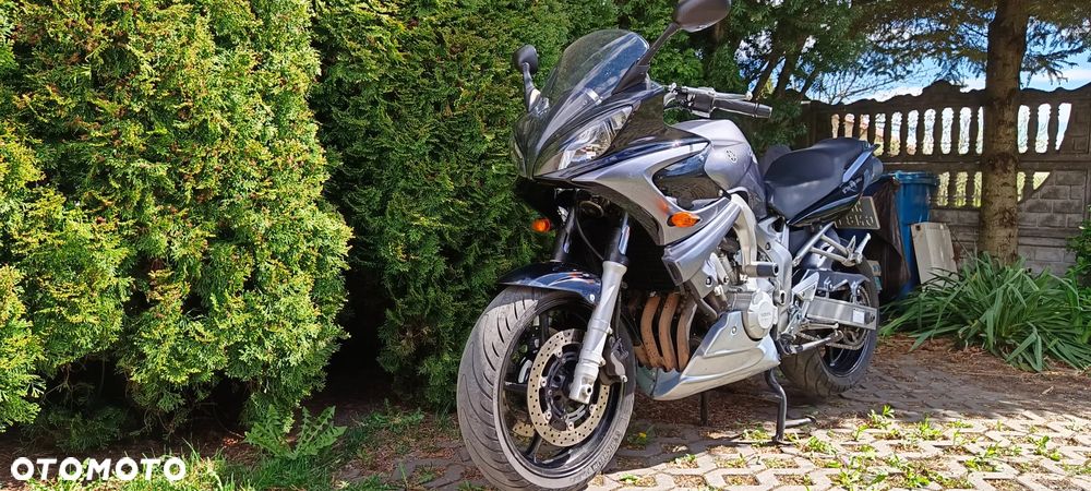 Yamaha FZ6 - 5