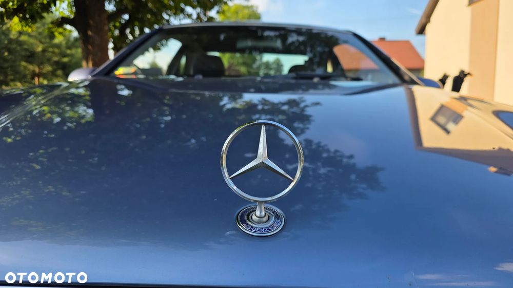 Mercedes-Benz CLK - 17