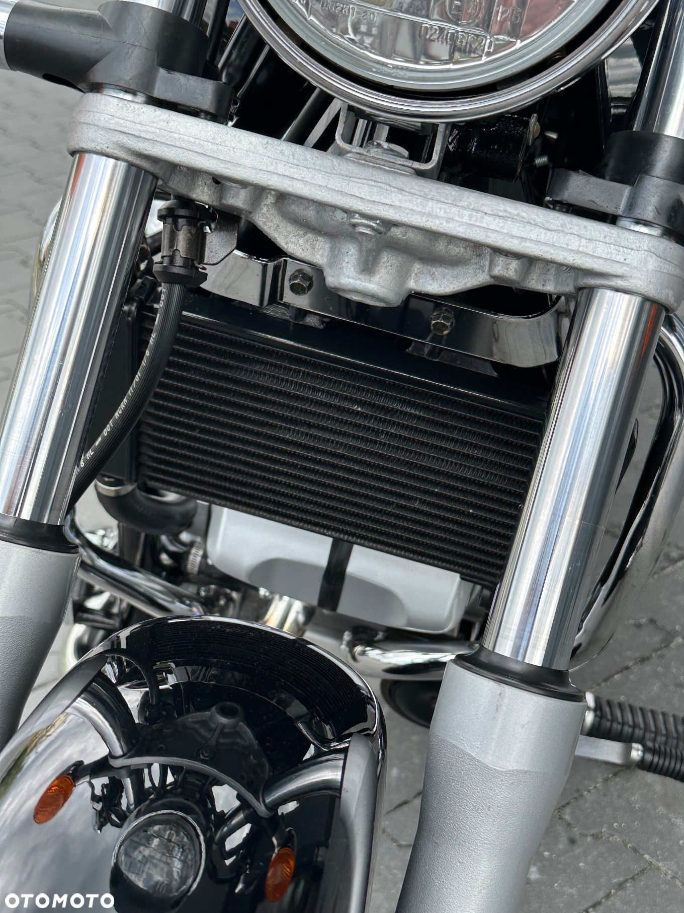 Honda Shadow - 19