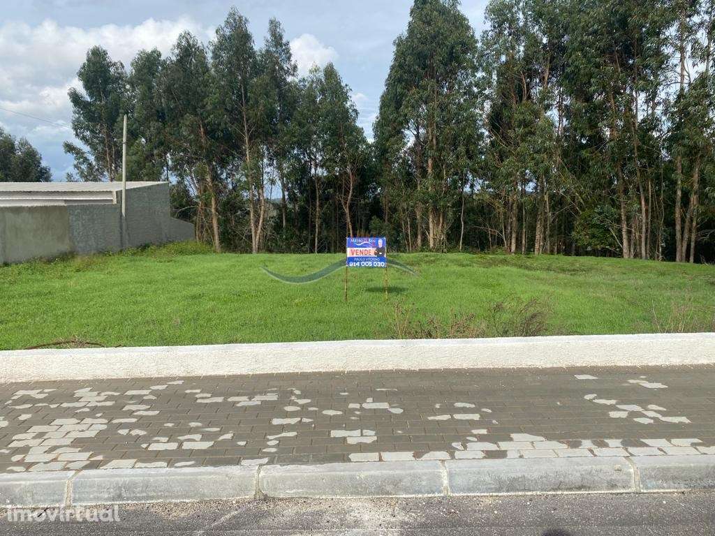 Terreno - São Miguel, Souto da Carpalhosa - Grande imagem: 3/9