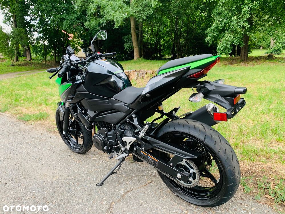 Kawasaki Z - 6