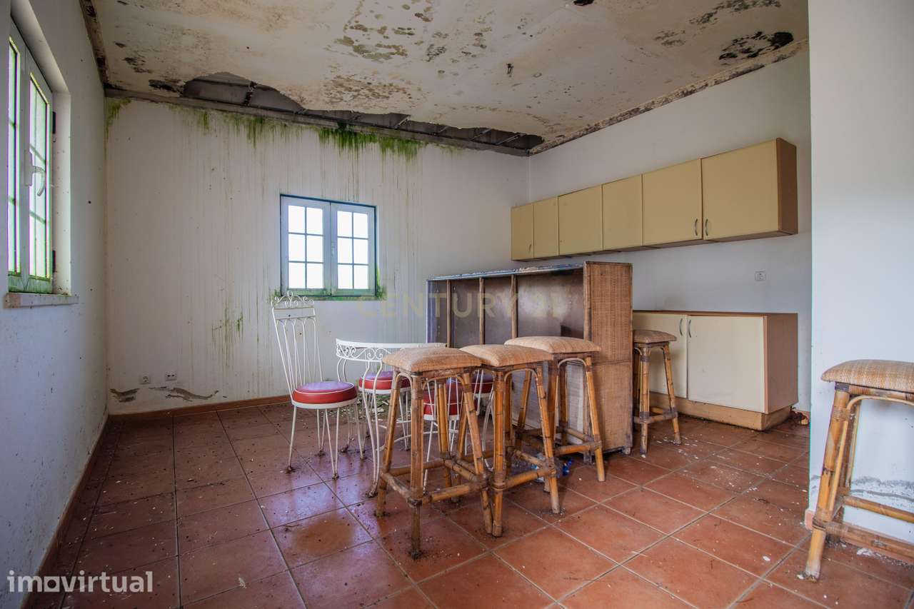 Propriedade rural de 5 hectares e construção - Souselas, Coimbra - Grande imagem: 3/32