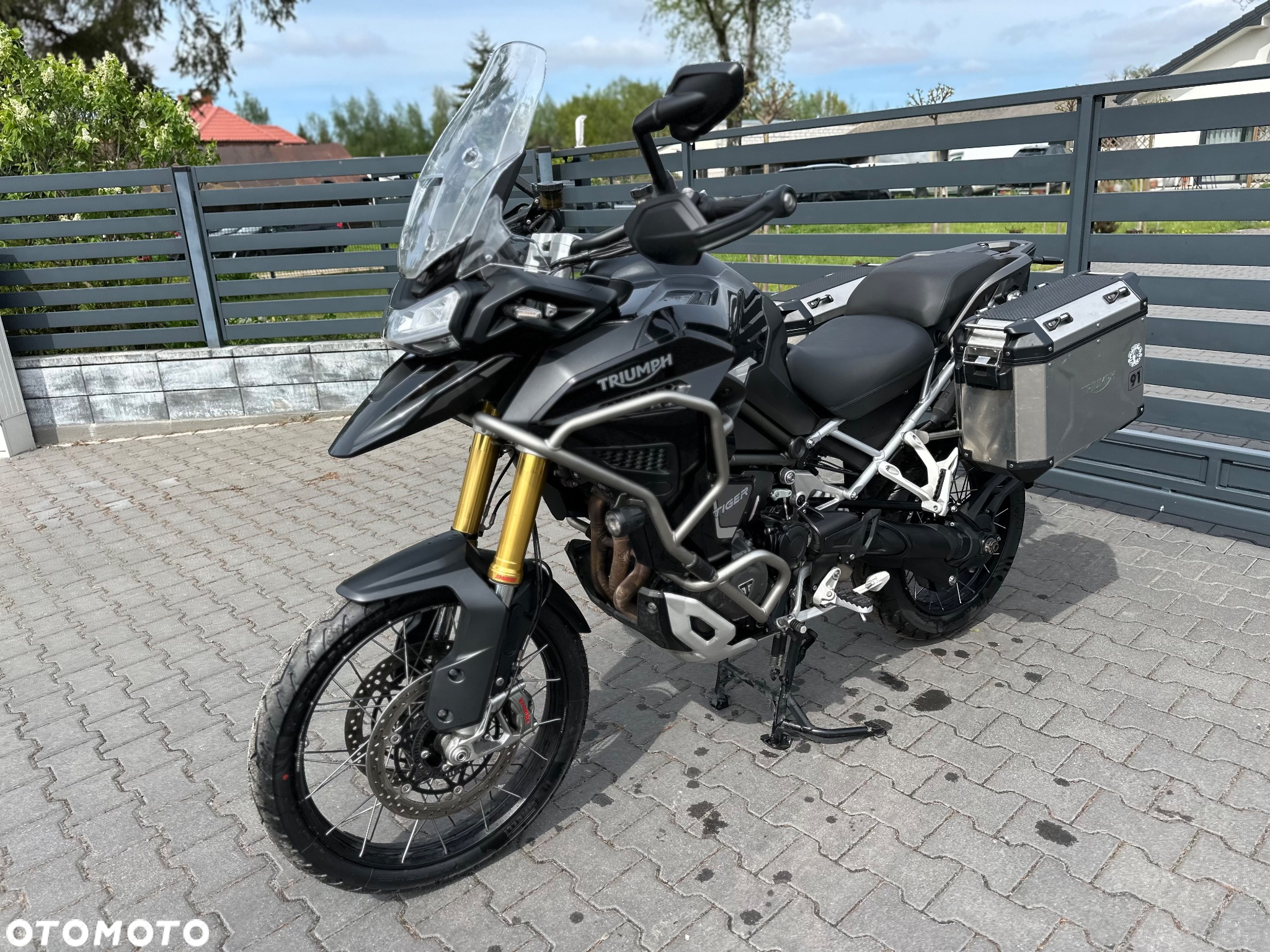 Triumph Tiger - 12