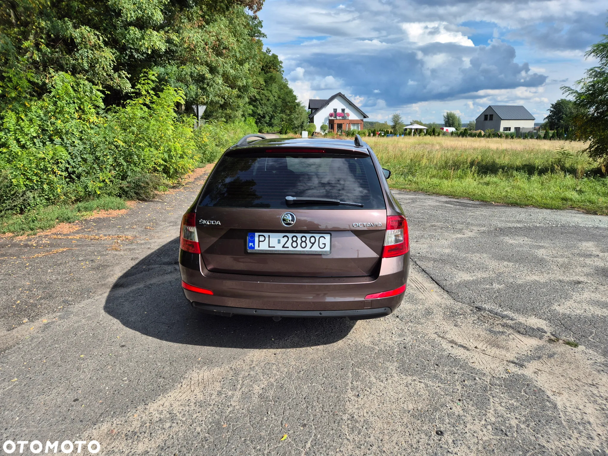 Skoda Octavia - 6