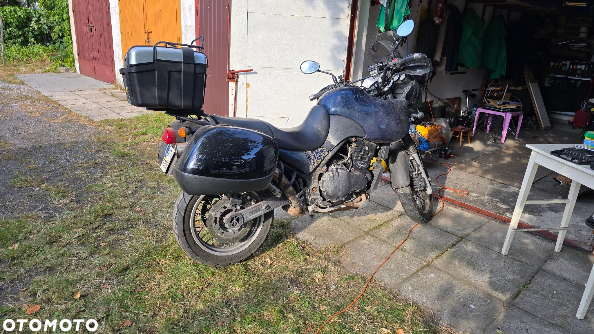 Triumph Tiger - 18