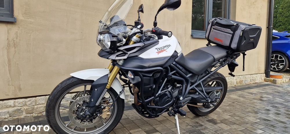 Triumph Tiger - 11
