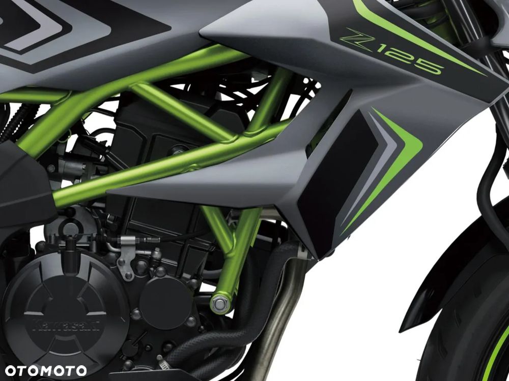 Kawasaki Z - 5