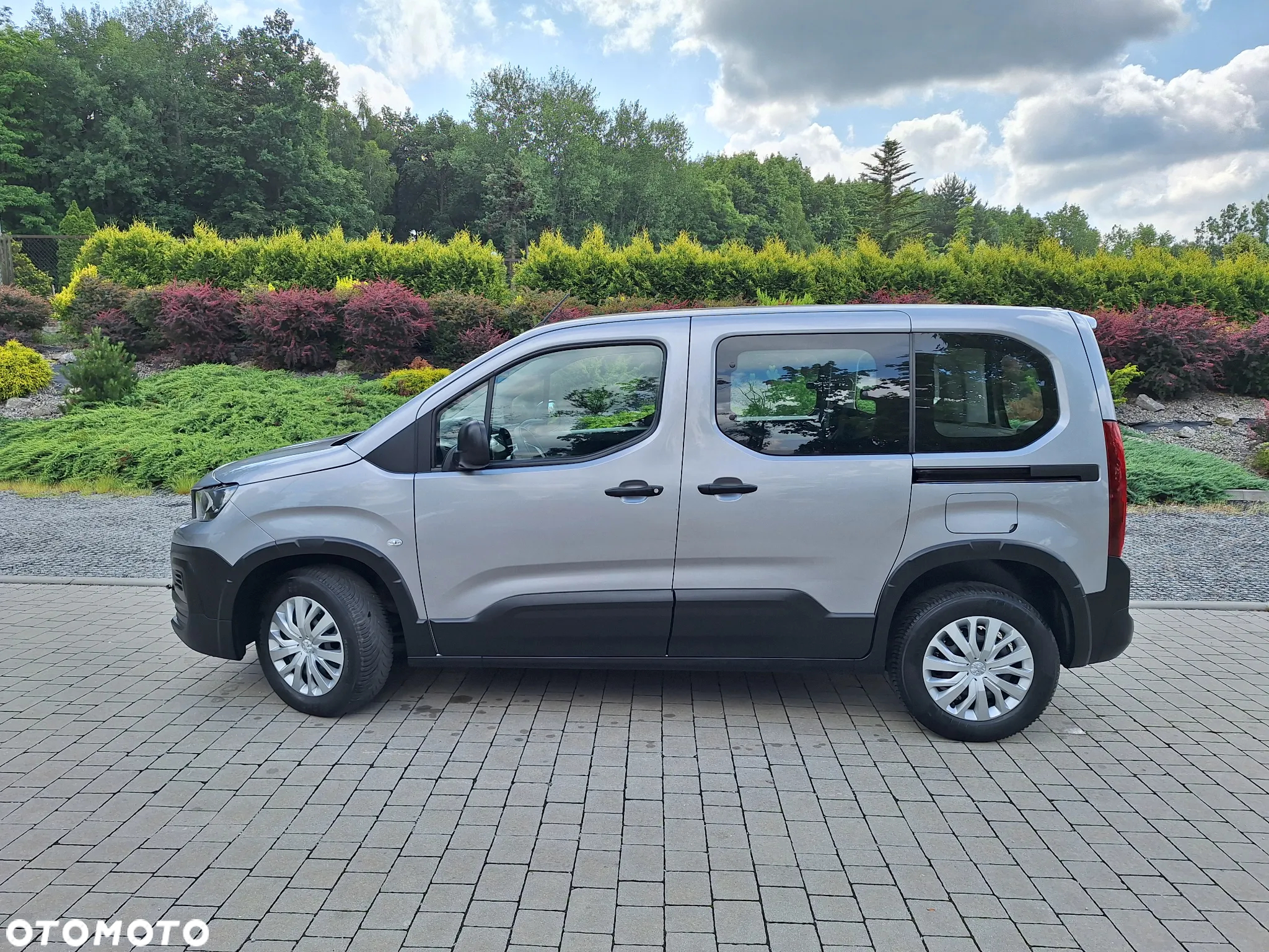 Peugeot Rifter 1.5 BlueHDI Active Pack S&S - 29