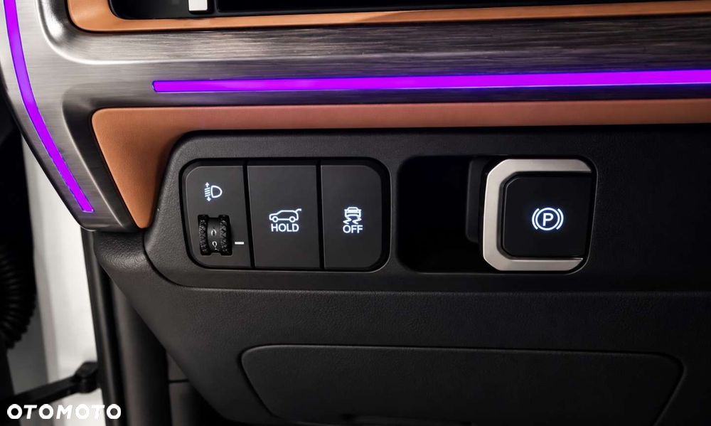Hyundai Santa Fe - 17