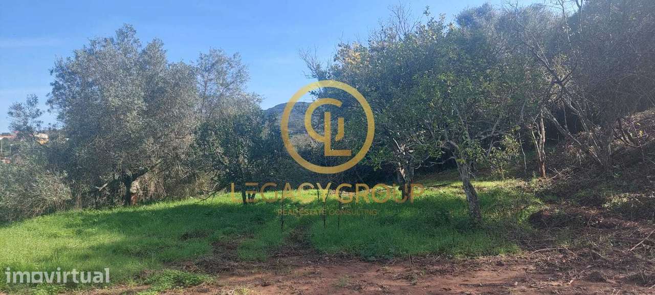 Terreno com mina de água e  uma Ruina em Alte, Loulé, Algarve - Grande imagem: 3/60
