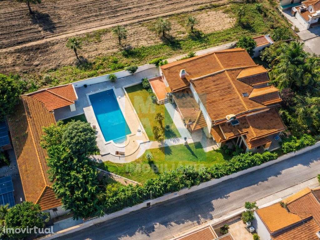 Quinta com 4.880 m2 - Alpiarça - Grande imagem: 3/48