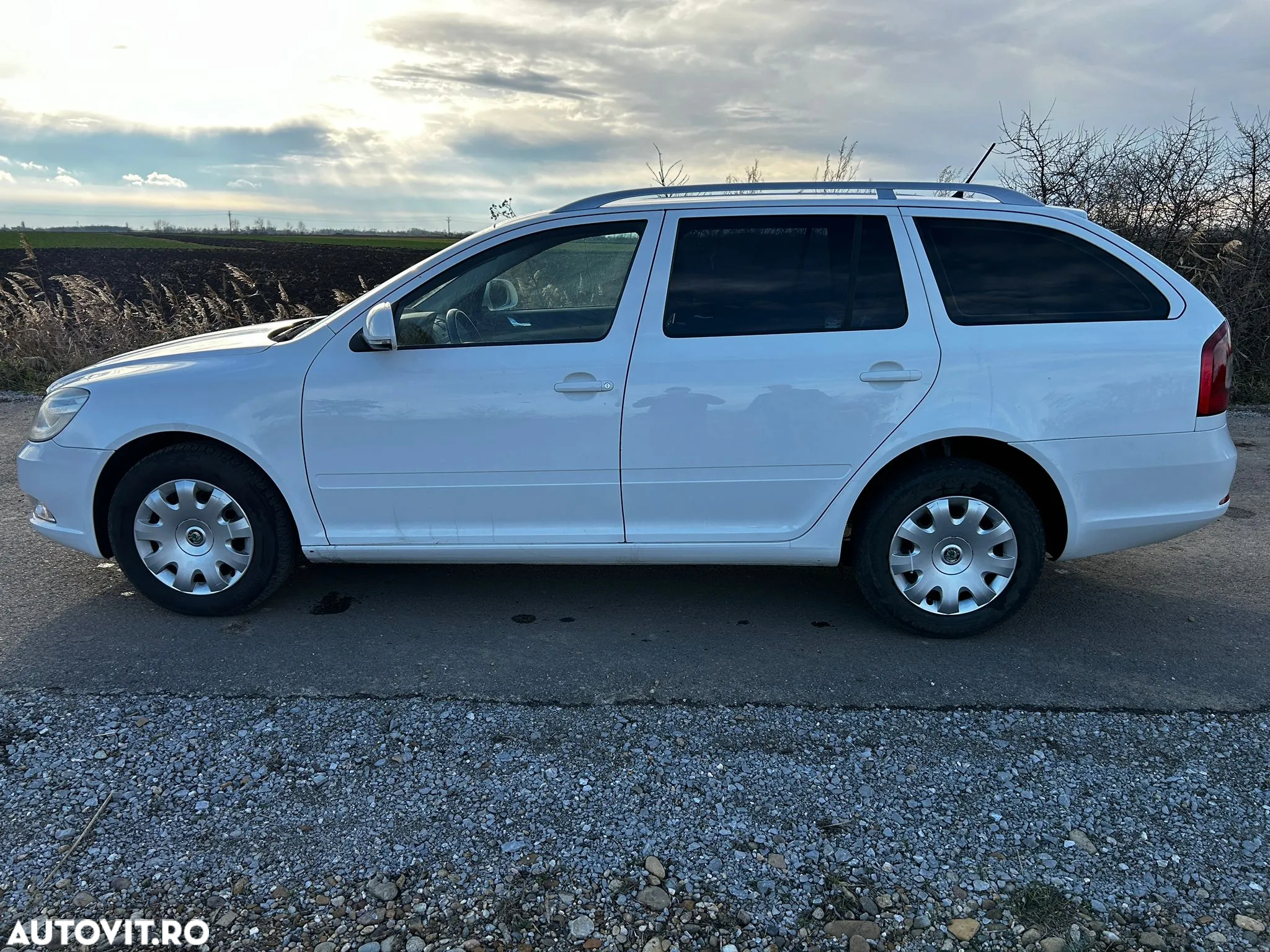 Skoda Octavia 1.6 TDI DPF GreenLine - 8