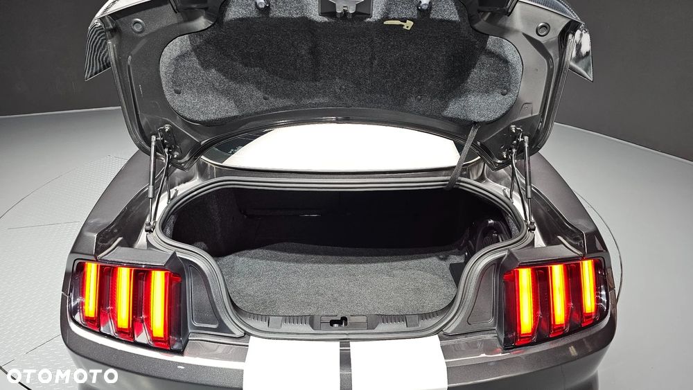 Ford Mustang - 20
