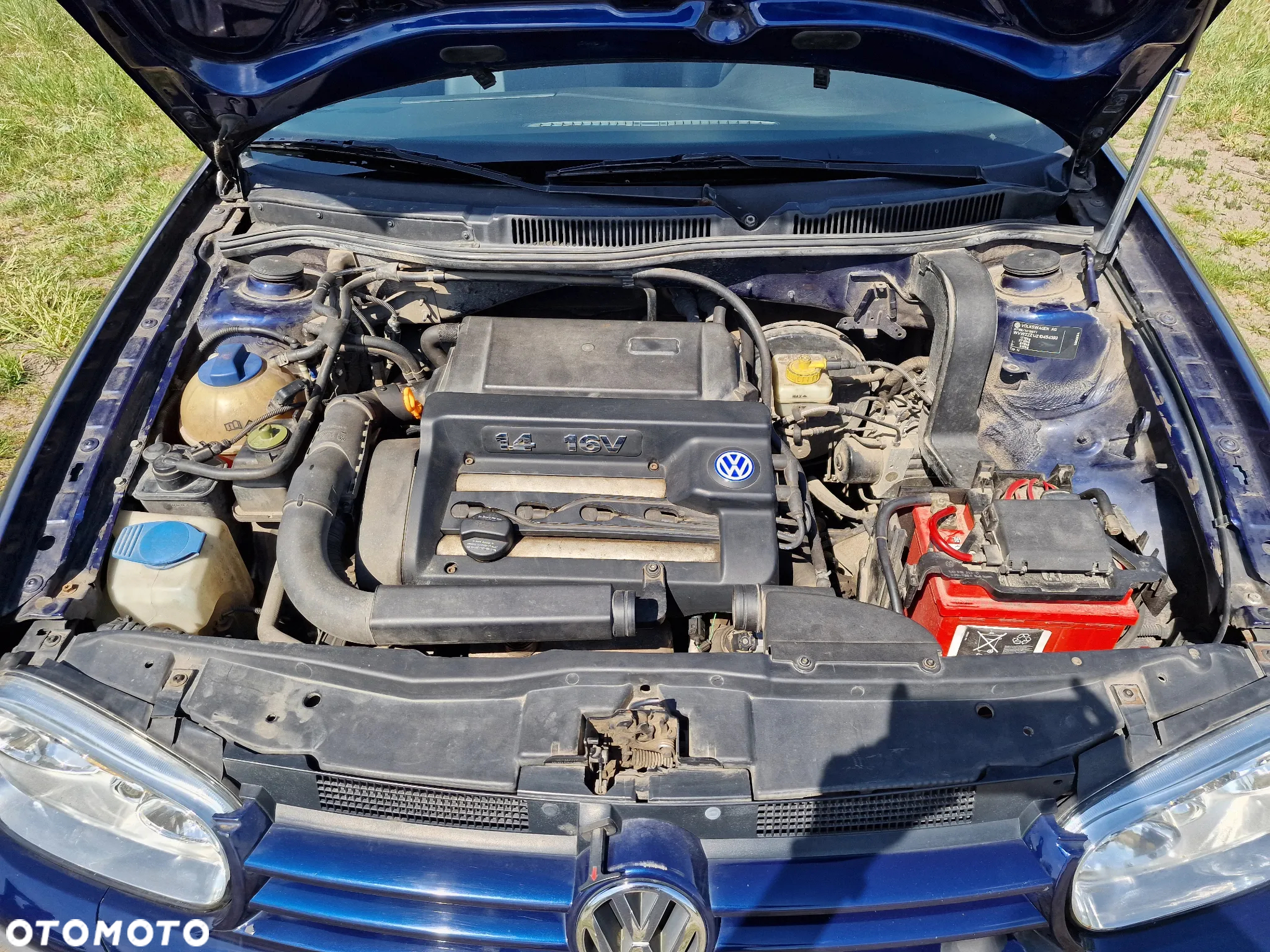 Volkswagen Golf IV 1.4 16V Basis - 11