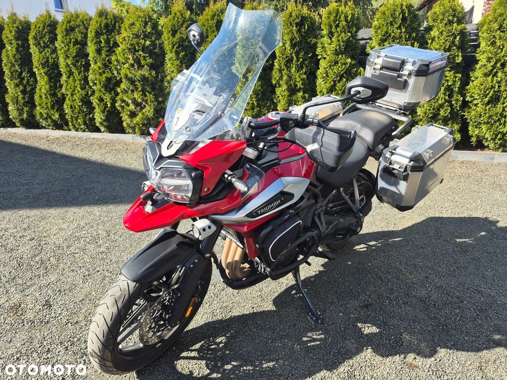 Triumph Tiger - 10
