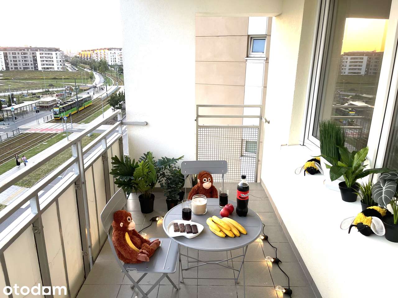 Mieszkanie na sprzedaż, 3 pokoje, 69 m², Poznań
