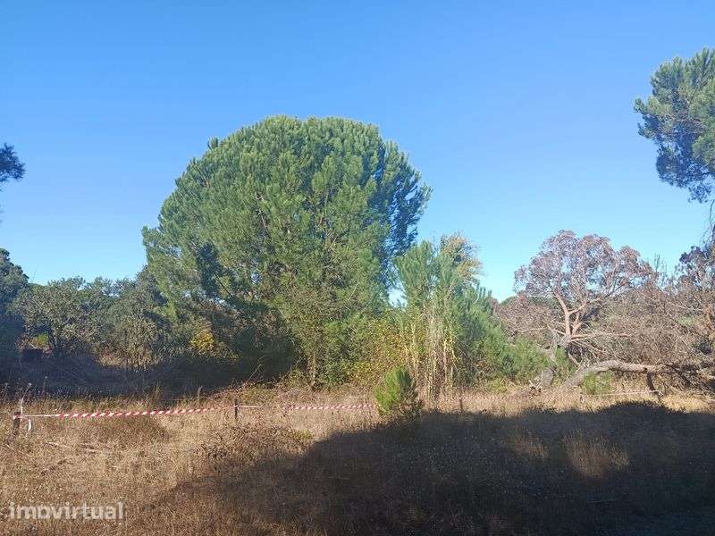 Terreno em  lagoa de albufeira - Grande imagem: 4/5