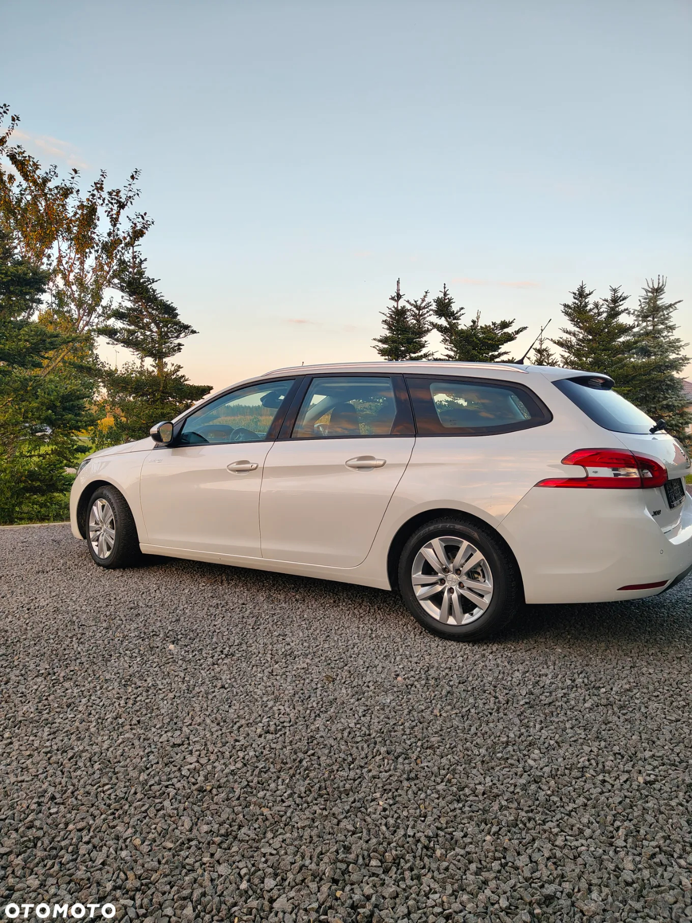 Peugeot 308 1.6 BlueHDi Business Line S&S - 8