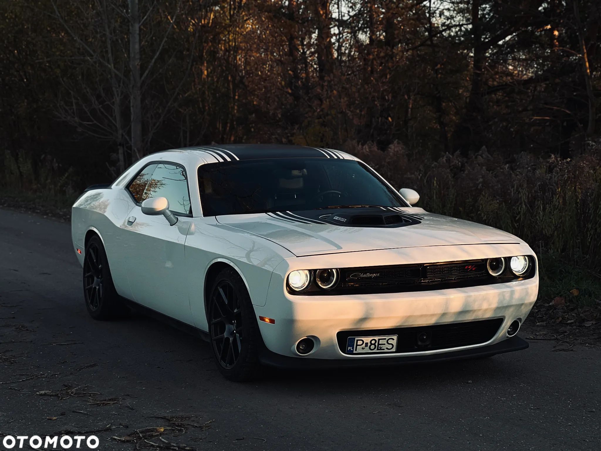 Dodge Challenger Automatik R/T Plus Shaker - 1