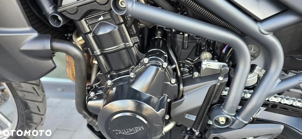 Triumph Tiger - 35