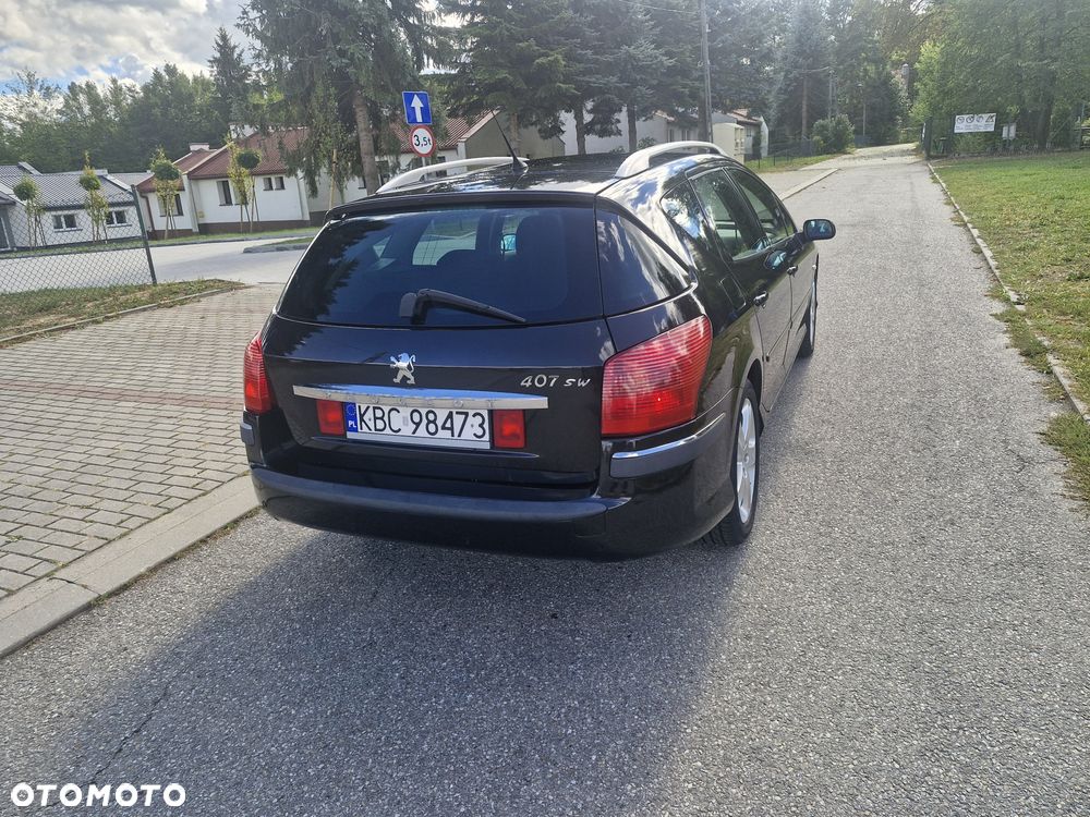 Peugeot 407 - 8
