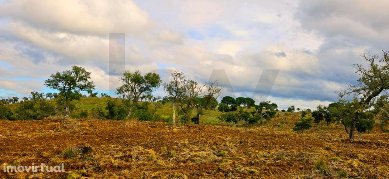 Herdade Exclusiva em Grândola: 35 Hectares, Vistas 360º e Viabilidade - Grande imagem: 4/40
