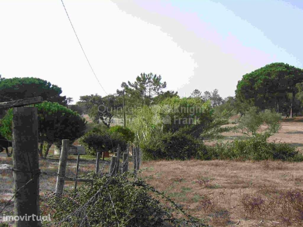 Terreno com 31750 m2 com PIP aprovado em Coruche, Santarém - Grande imagem: 5/17