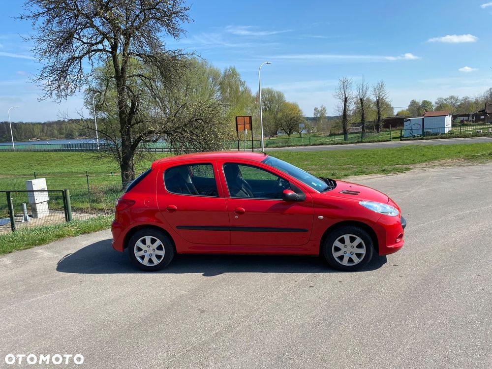 Peugeot 206 plus 60 - 18