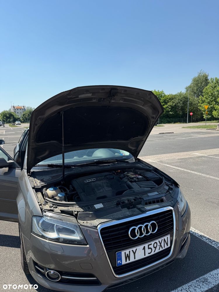 Audi A3 3-drzwiowe 1.6 TDI DPF Ambiente - 16