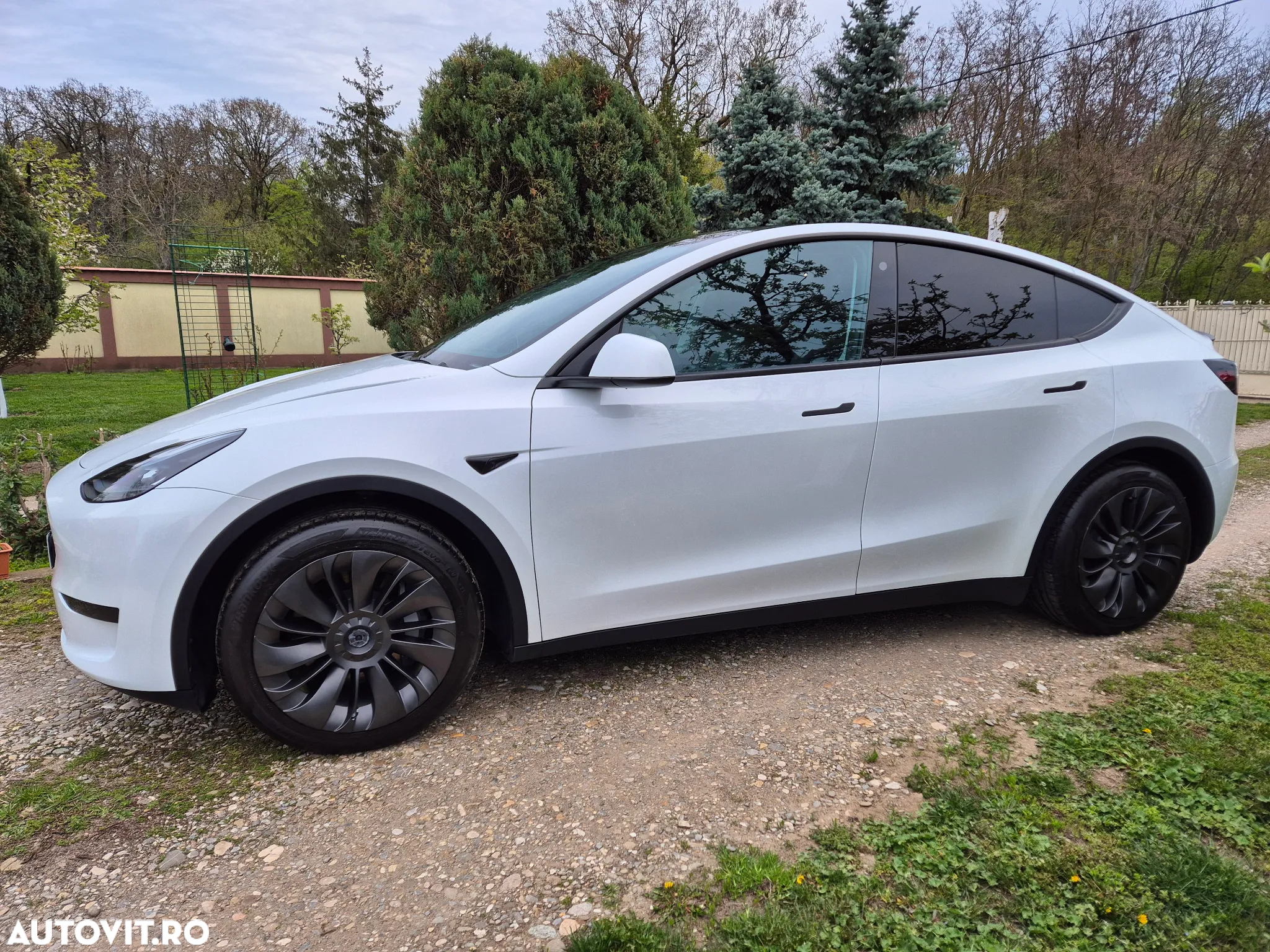 Tesla Model Y - 5
