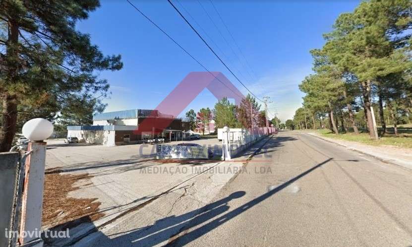 Restaurante  Venda em Muge,Salvaterra de Magos - Grande imagem: 3/31