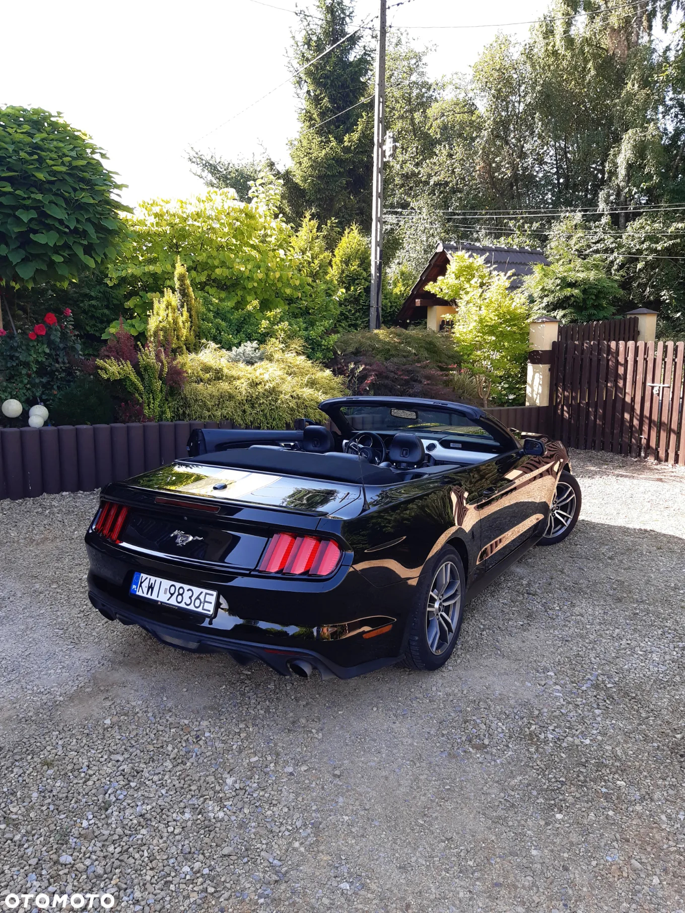 Ford Mustang Cabrio 2.3 Eco Boost - 8